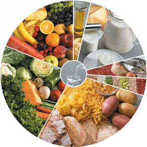 Roda dos Alimentos