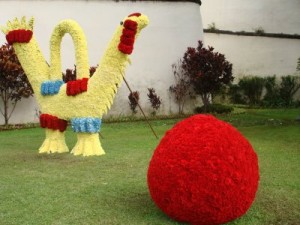 Festa da Flor