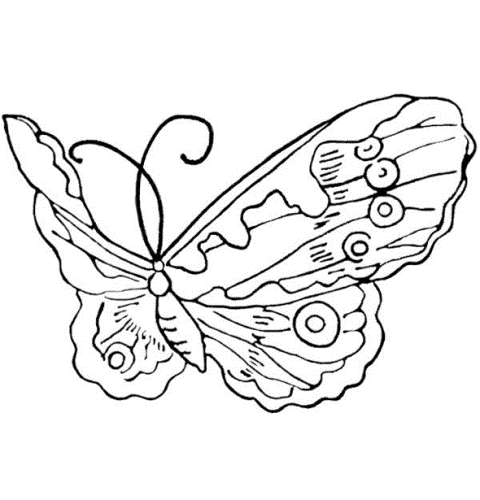 desenhos de borboletas